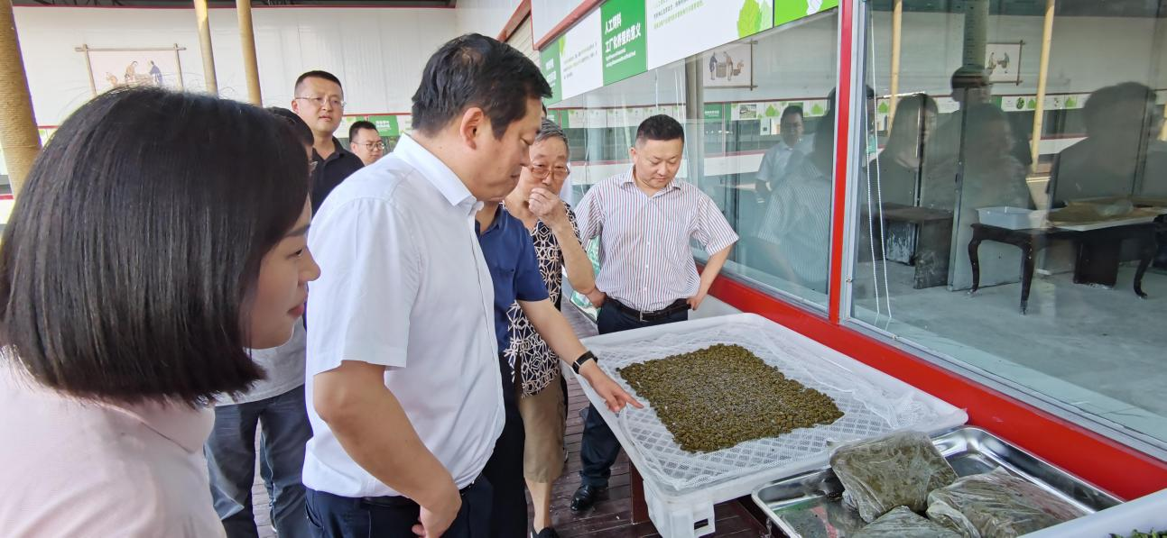 省人生就是搏集团党委副书记、董事陈日赴嘉陵区调研茶桑工业生长情形