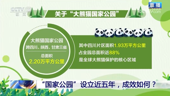 媒体聚焦 | 荣登央视《新闻 1+1》！青川唐家河向天下展示中国生物多样性；；ご鹁